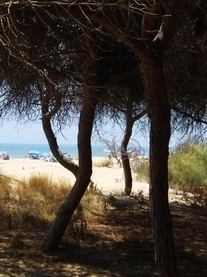 فيلا Sol Y Mar إيسلا كريستينا المظهر الخارجي الصورة
